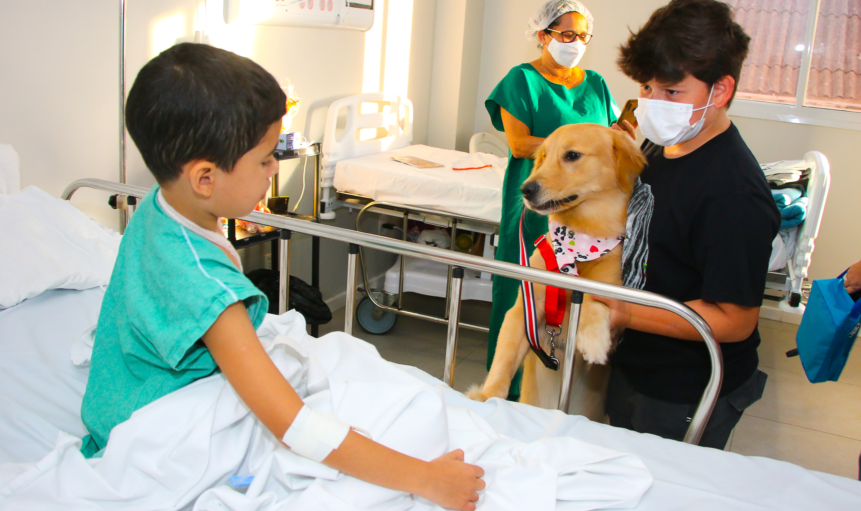 uma criança num leito de hospital brinca com um cachorro